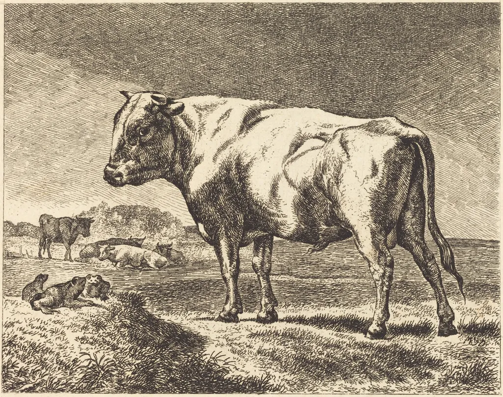 Cow, by German 19th Century, ink, 1850