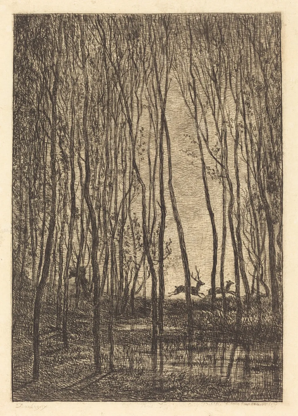 Deer in the Woods (Les Cerfs sous bois), by Charles François Daubigny, ink, 1850