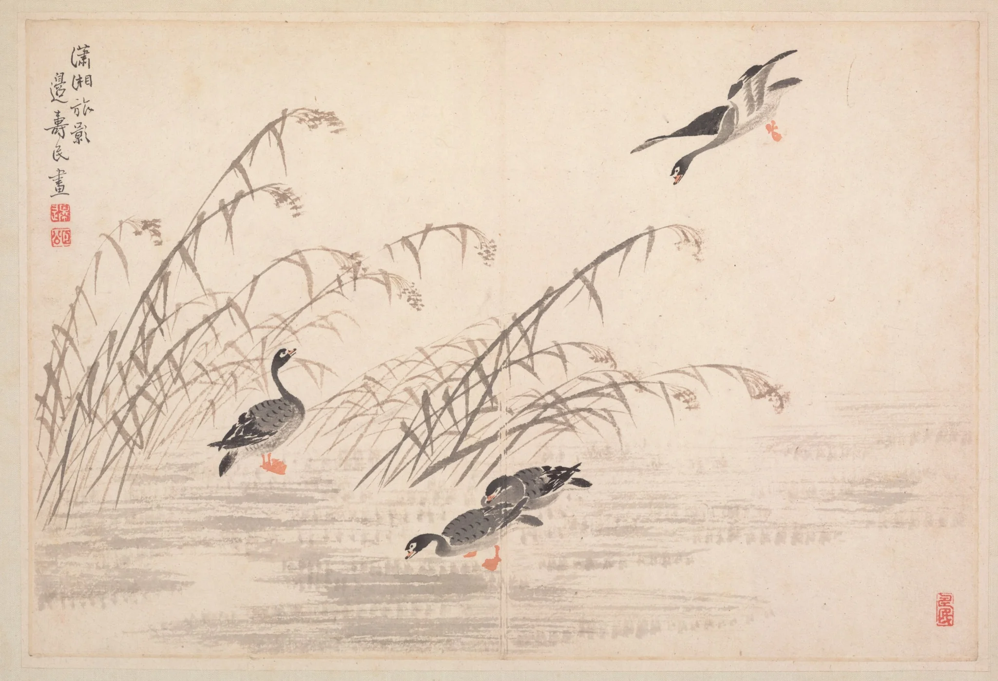 Album of Calligraphy and Paintings, detail