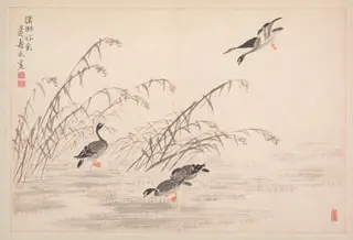 Album of Calligraphy and Paintings, by Bian Shoumin, unspecified, 1700
