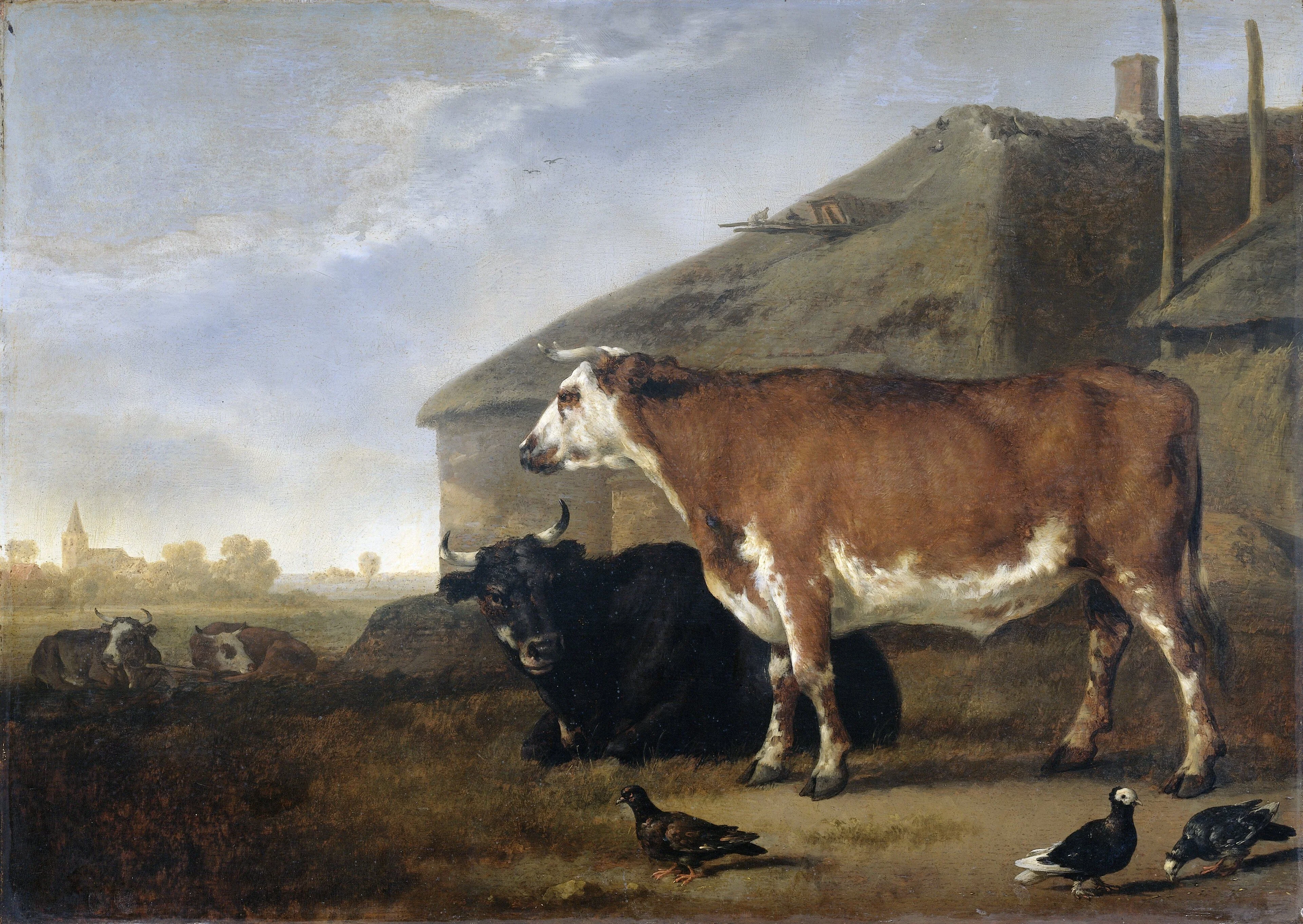 Cattle, detail