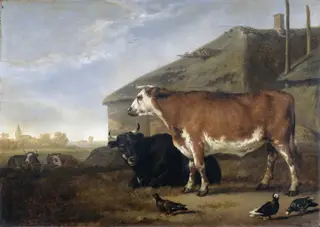 Cattle, by Abraham van Calraet, oil, 1696