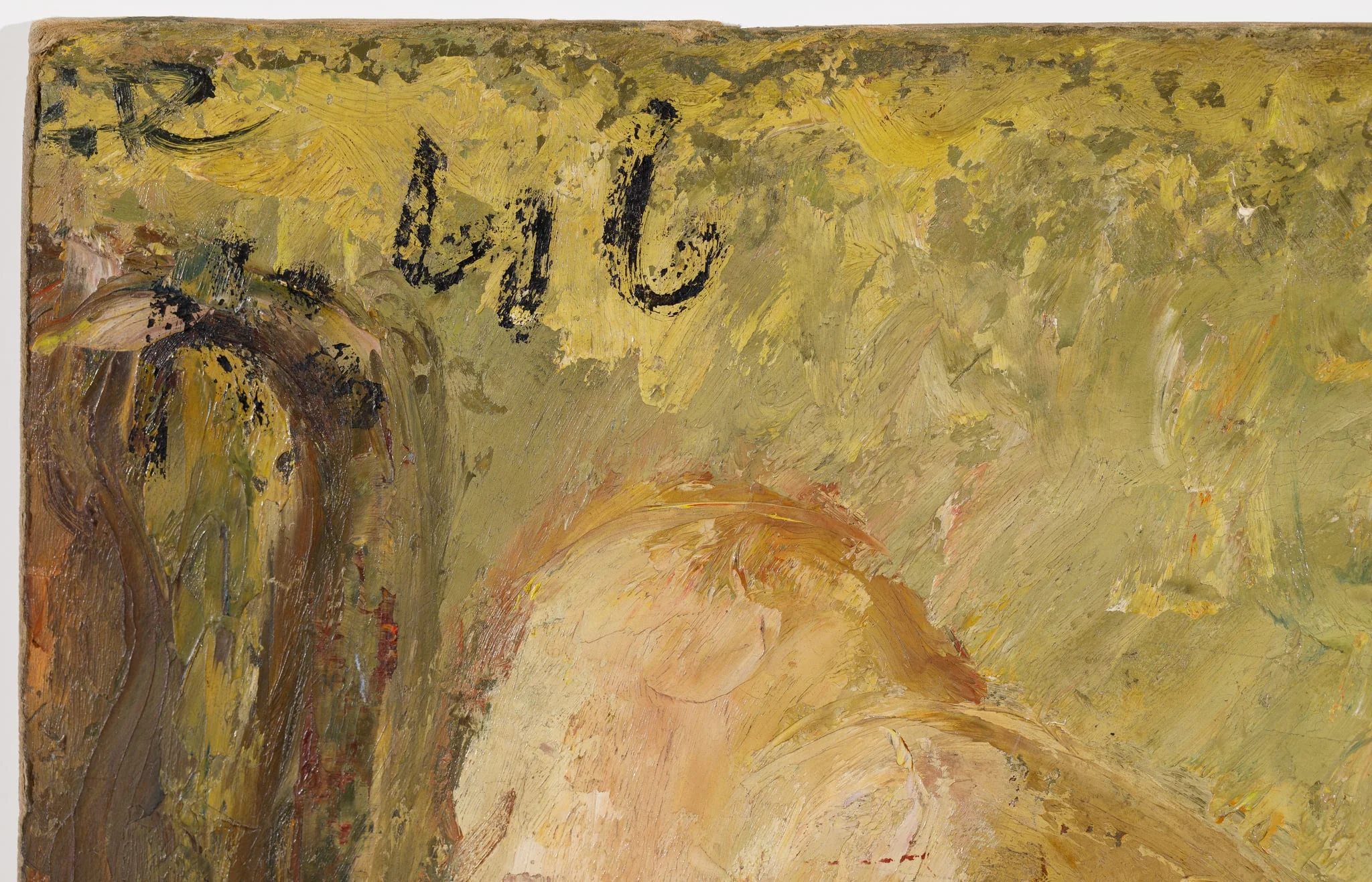 Nud culcat, detail