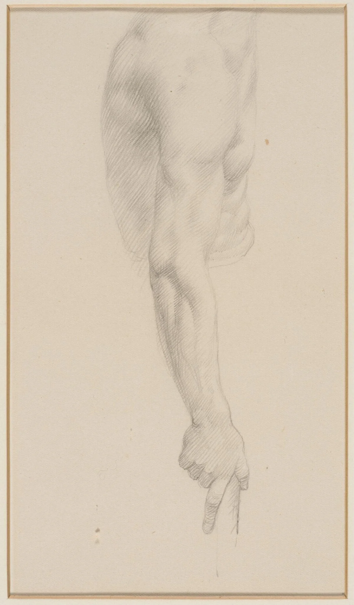Arm, detail