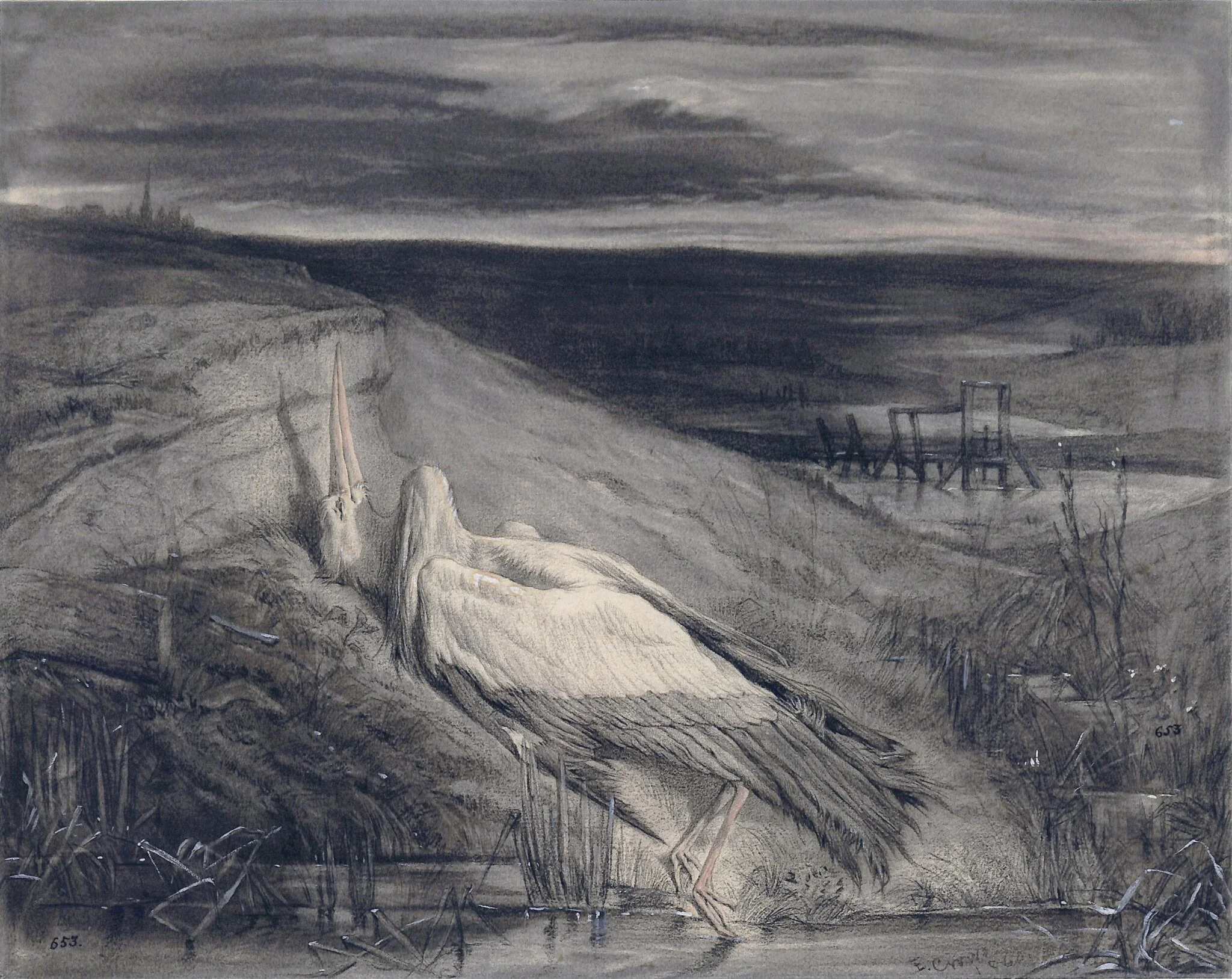 A dead stork on the bank of a stream, detail