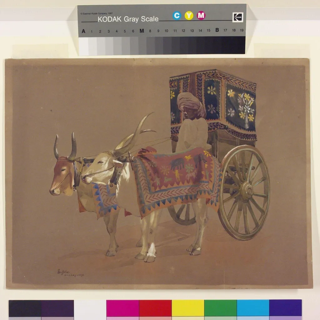 Bullock Rekla, by John Griffiths, paint, 1872