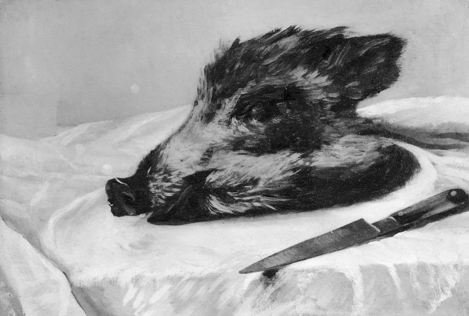Tête de sanglier, detail