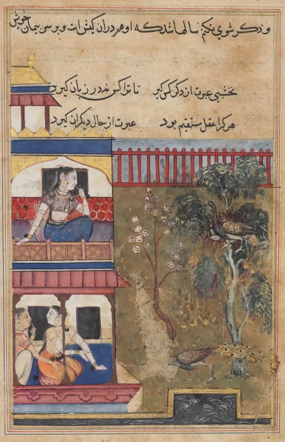The queen of Rum watches the peahen prefer to burn rather than abandon her eggs while the peacock flees the nest, from a Tuti-nama (Tales of a Parrot): Thirty-ninth Night, detail
