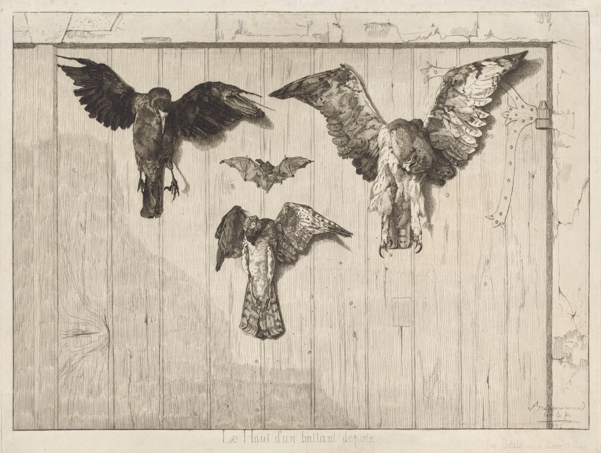 Le haut d'un battant de porte (Birds Nailed to a Barn Door), detail