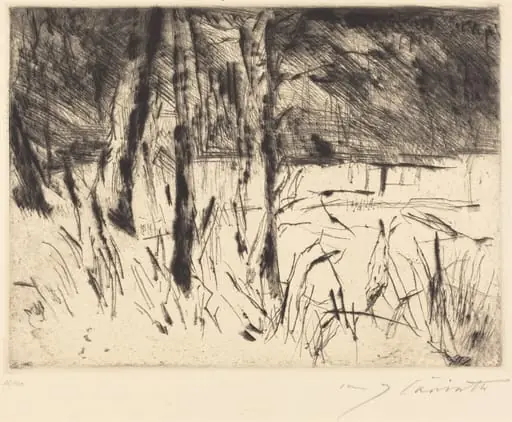 Tiergarten (Zoological Garden), by Lovis Corinth, ink, 1922