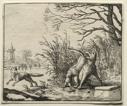 Reynard the Fox:  A New Accusation by the Wolf, by Allart van Everdingen, 1662