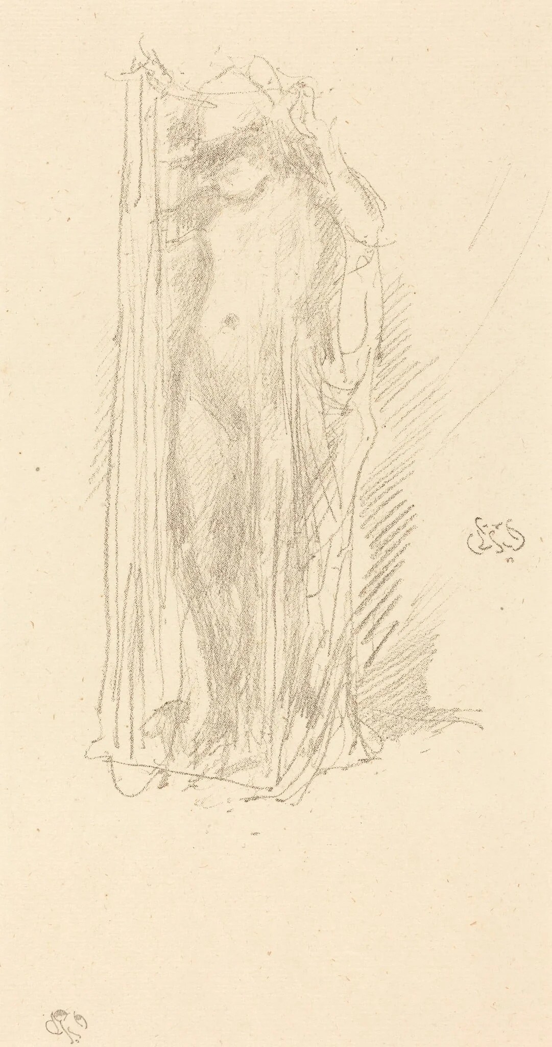Model Draping, detail