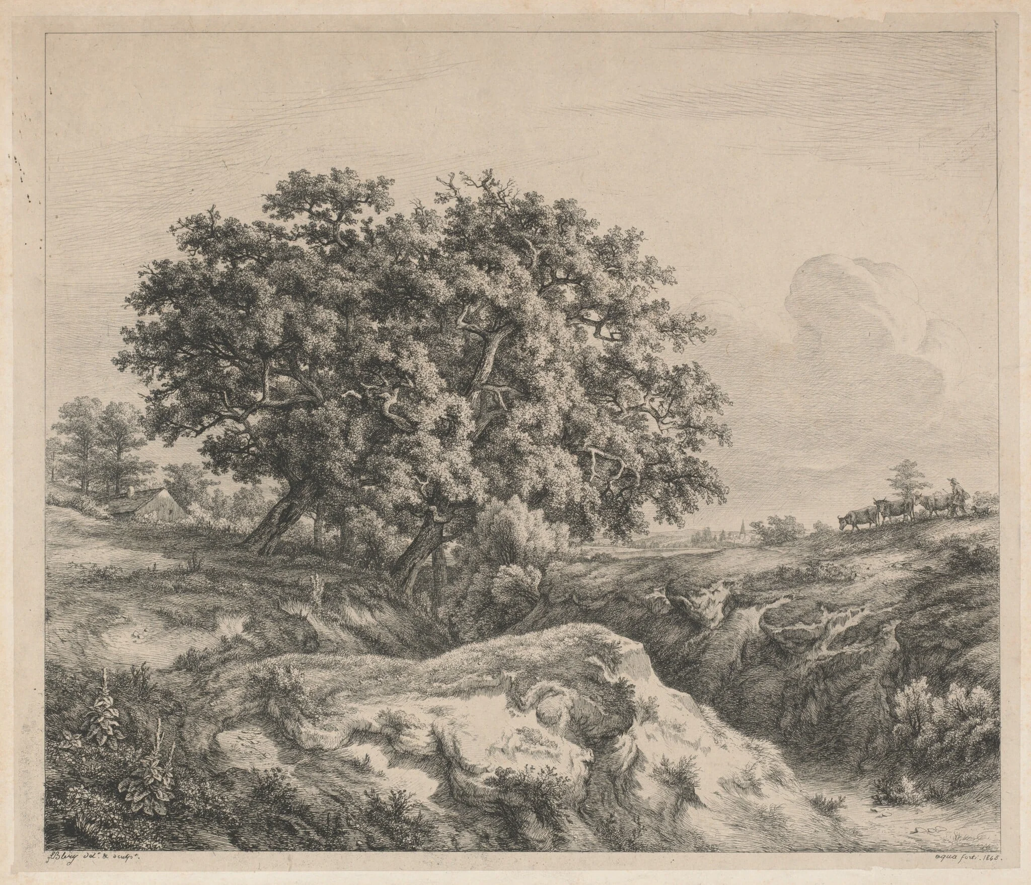 Le chêne au ravin (Oak Tree by a Ravine), detail