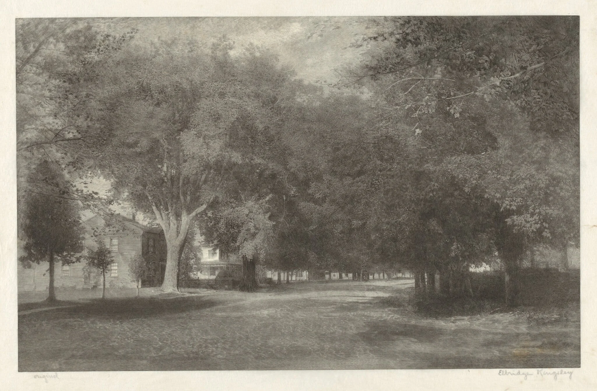 New England Elms, detail