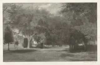 New England Elms, by Elbridge Kingsley, ink, 1890