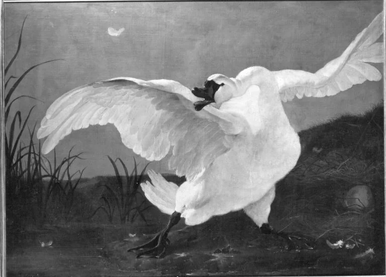 Threatened Swan, detail
