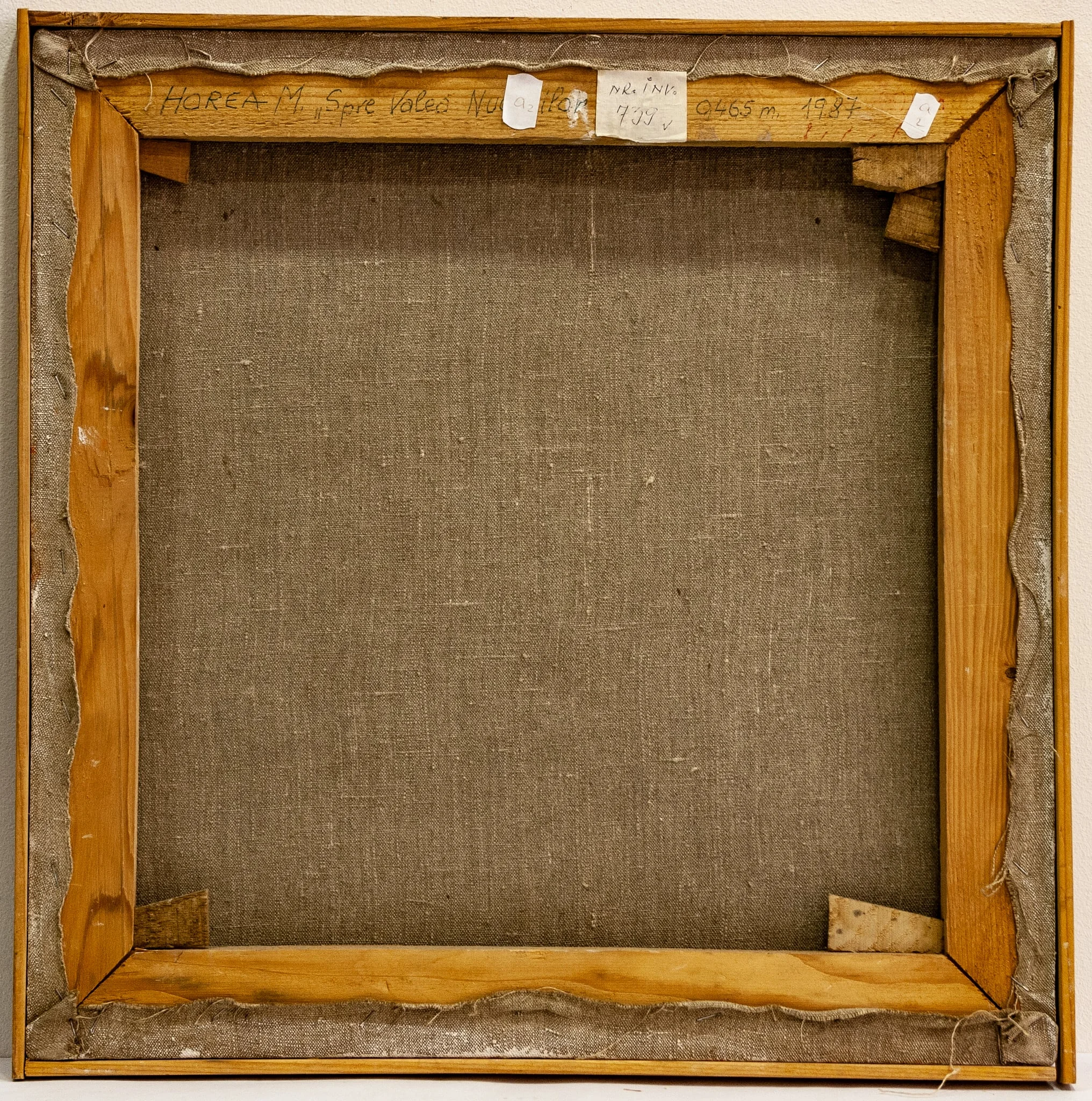 Spre Valea Nucarilor, detail