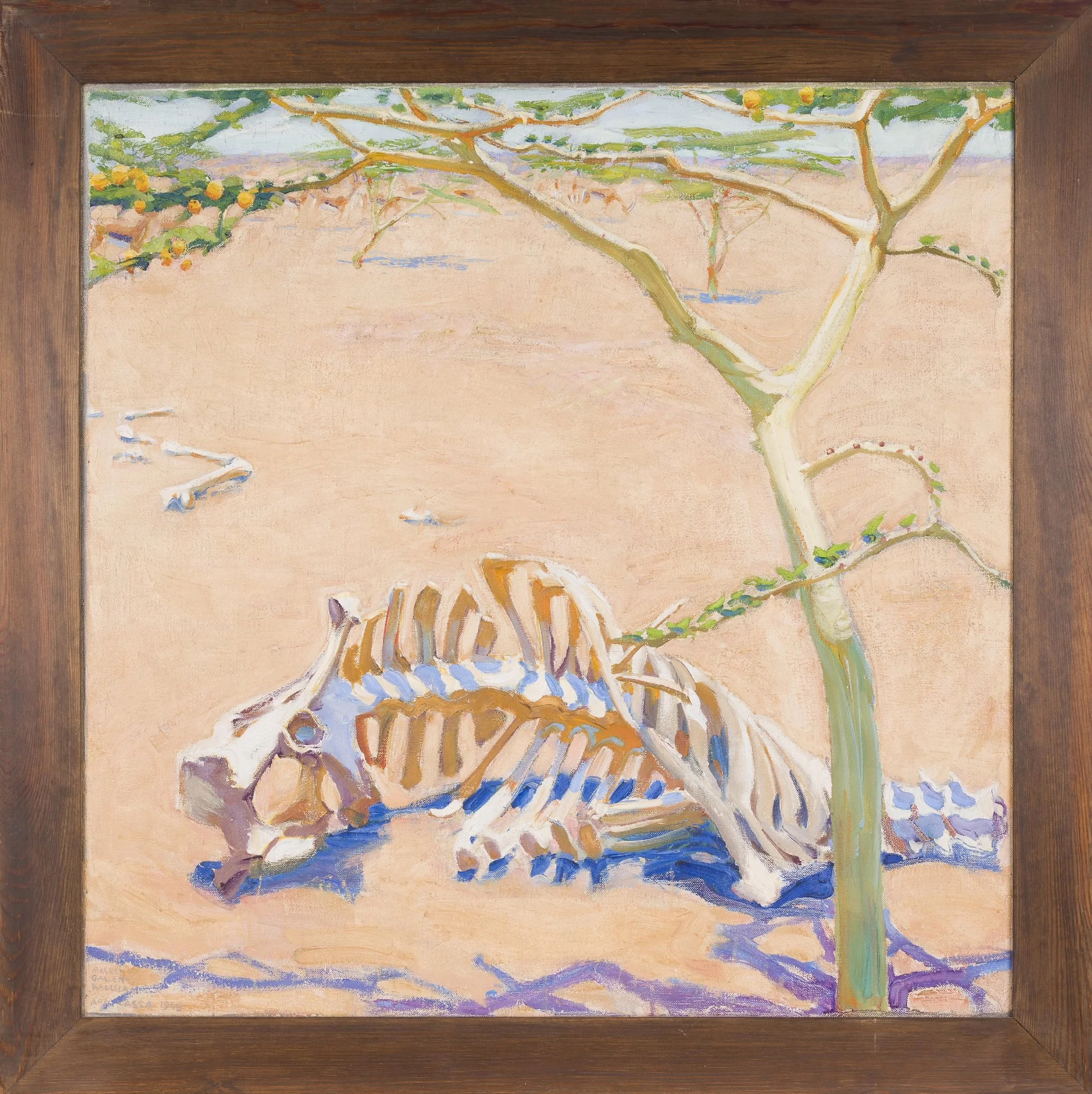 Kamelin luuranko, detail