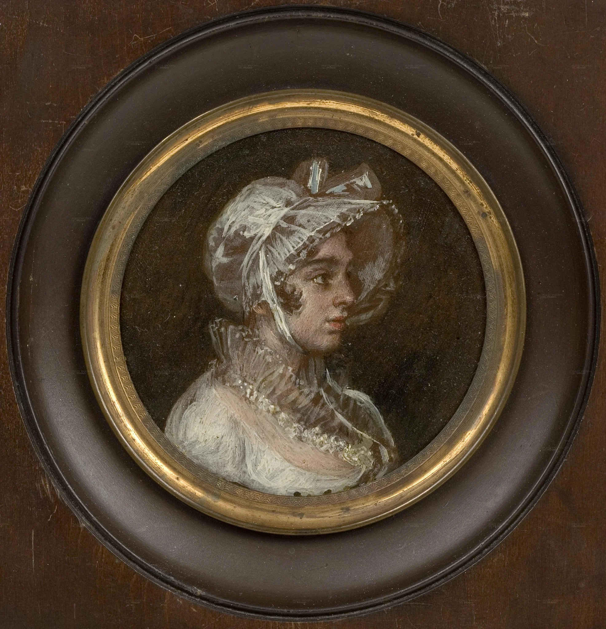 Manuela Goicoechea y Galarza, detail