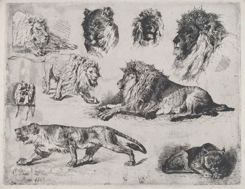 Study of Lions, by Cesare Biseo, ink, 1867