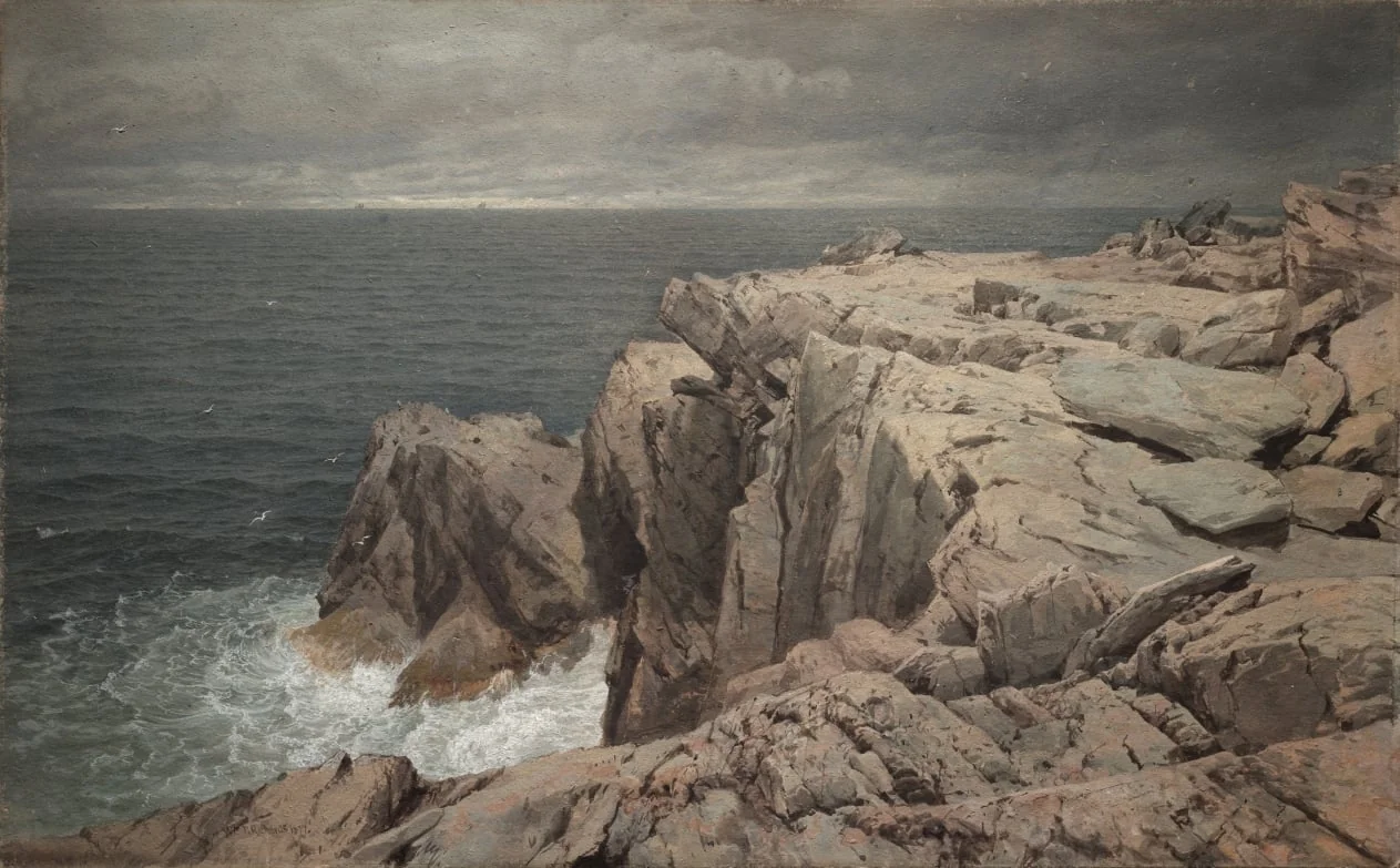 Cormorant Cliff, Jamestown, Rhode Island, detail