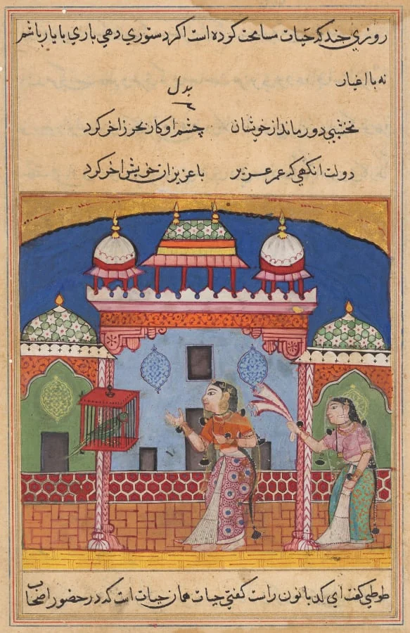The Parrot Addresses Khujasta at the Beginning of the Twenty-second Night, from a Tuti-nama (Tales of a Parrot), detail