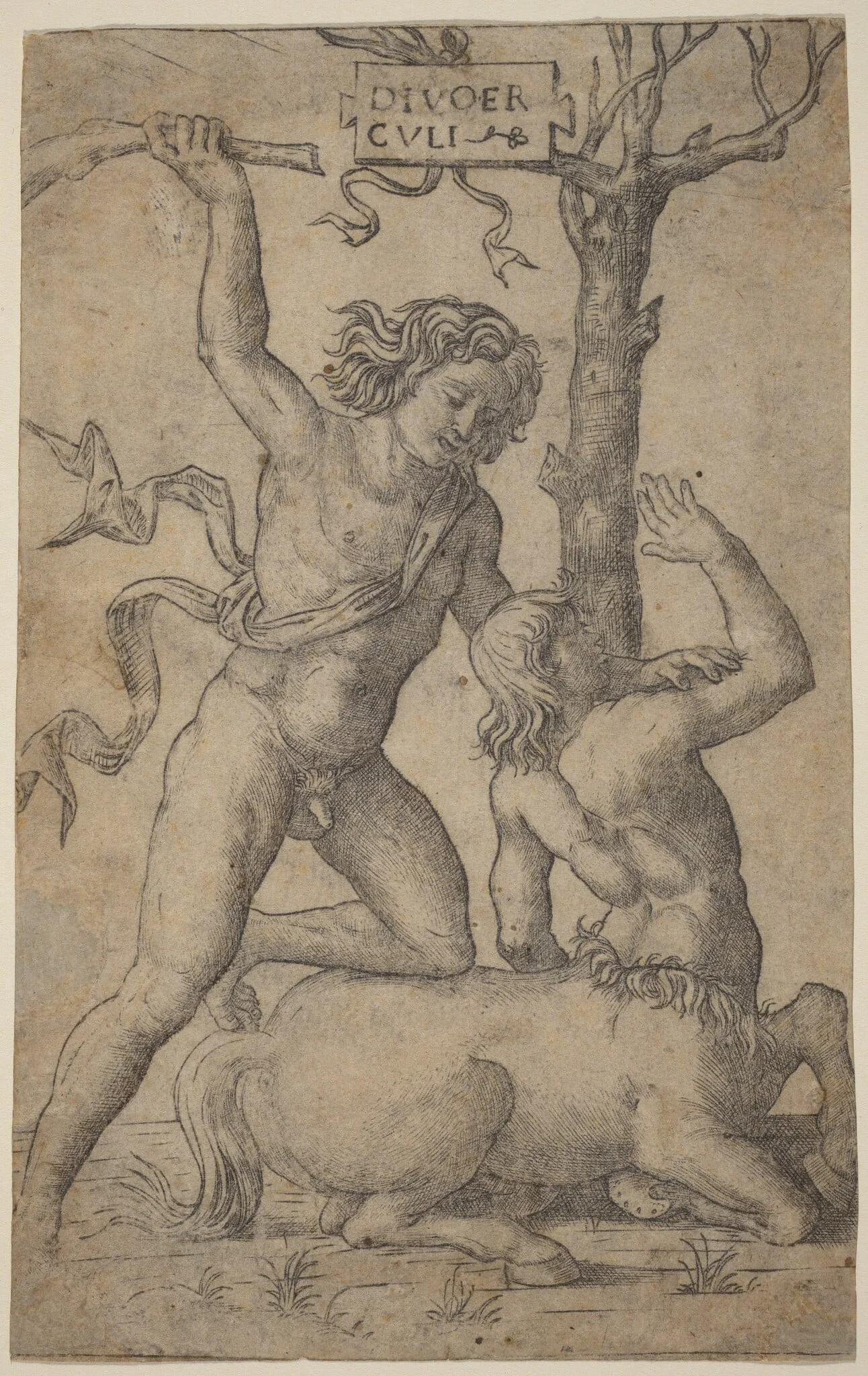 Hercules and Nessus, detail