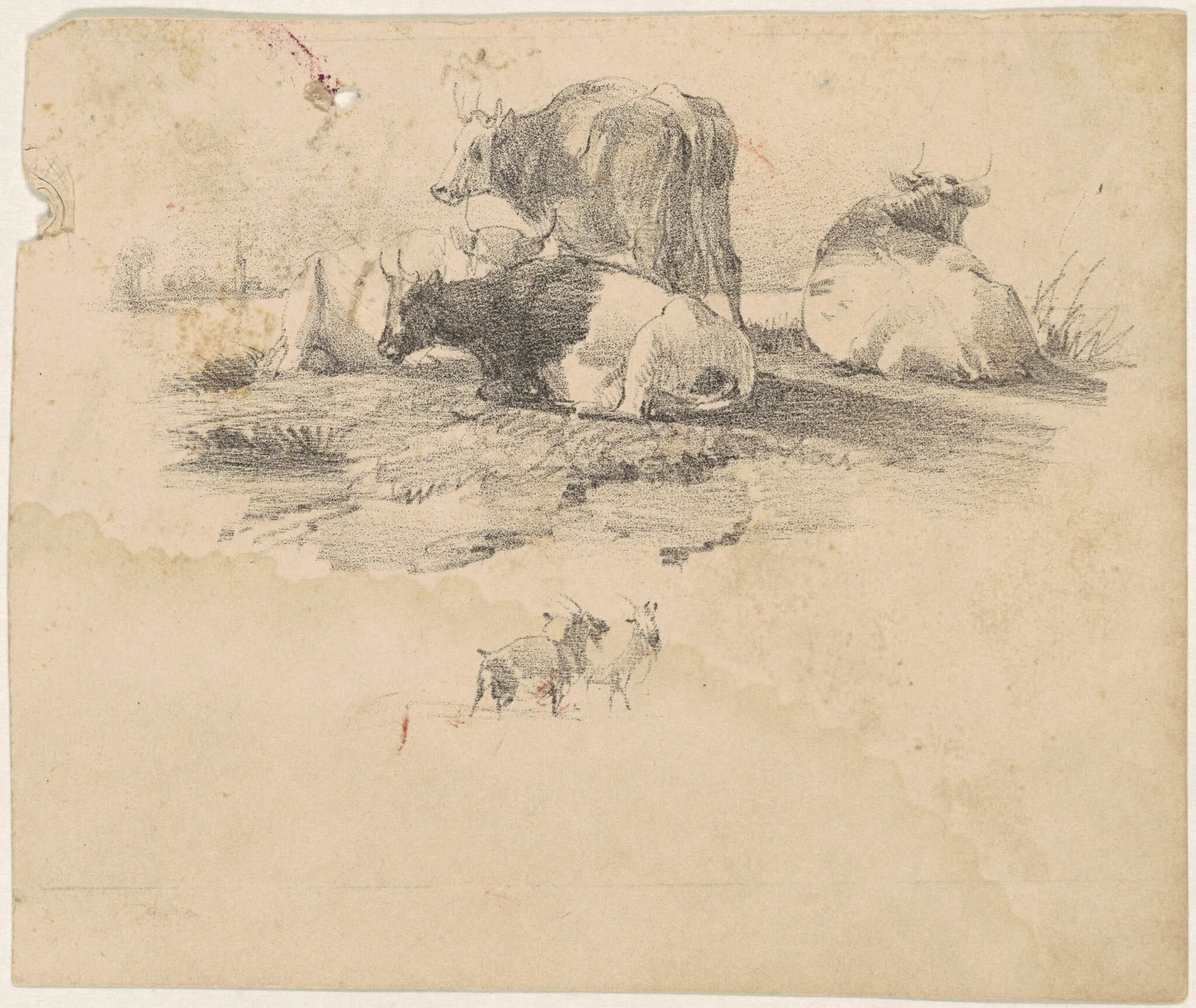 Herd of Cattle, detail