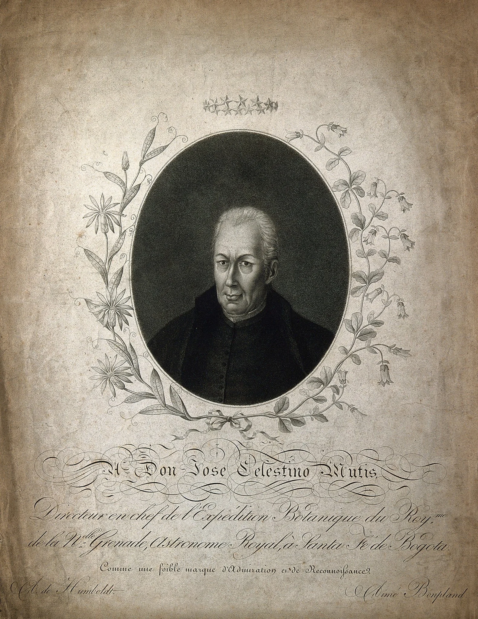 José Celestino Mutis. Stipple engraving., detail