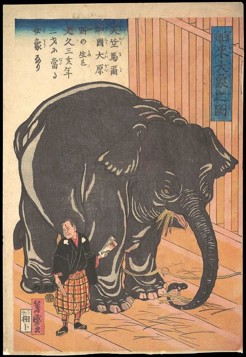 Hakurai taizo no zu|View of the Large Imported Elephant, detail