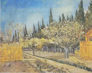 Orchard in Blossom, Bordered by Cypresses, by Vincent van Gogh, oil, 1888