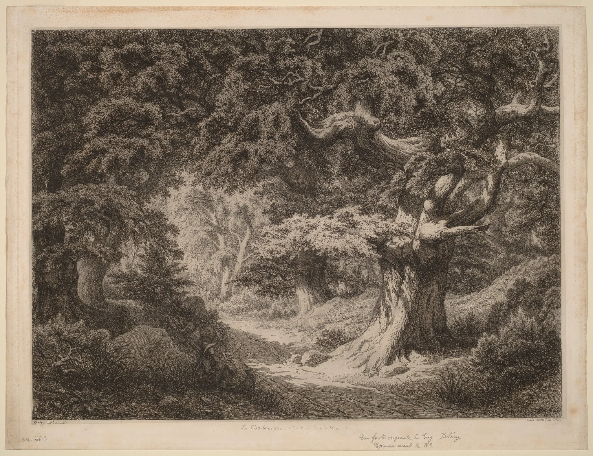Le Charlemagne (forêt de fontainebleau), detail