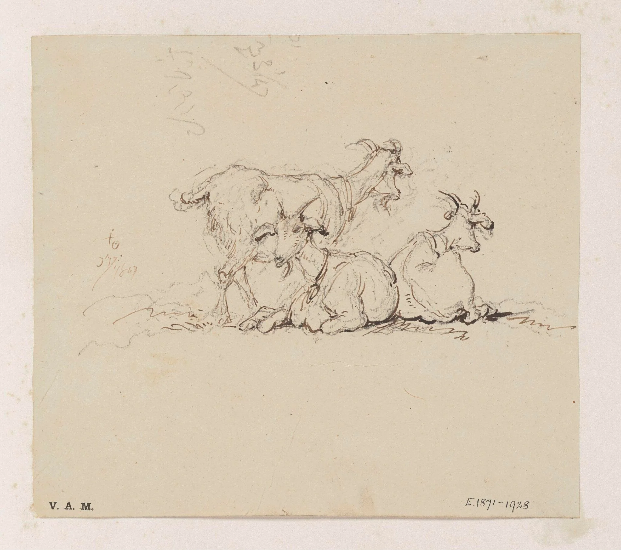 Three goats, detail