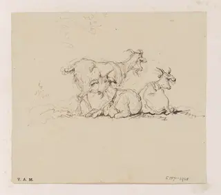 Three goats, by George Chinnery, 11