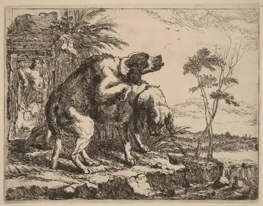 Two Dogs Copulating, by Jan Fyt, ink, 1642