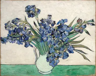 Irises, by Vincent van Gogh, oil