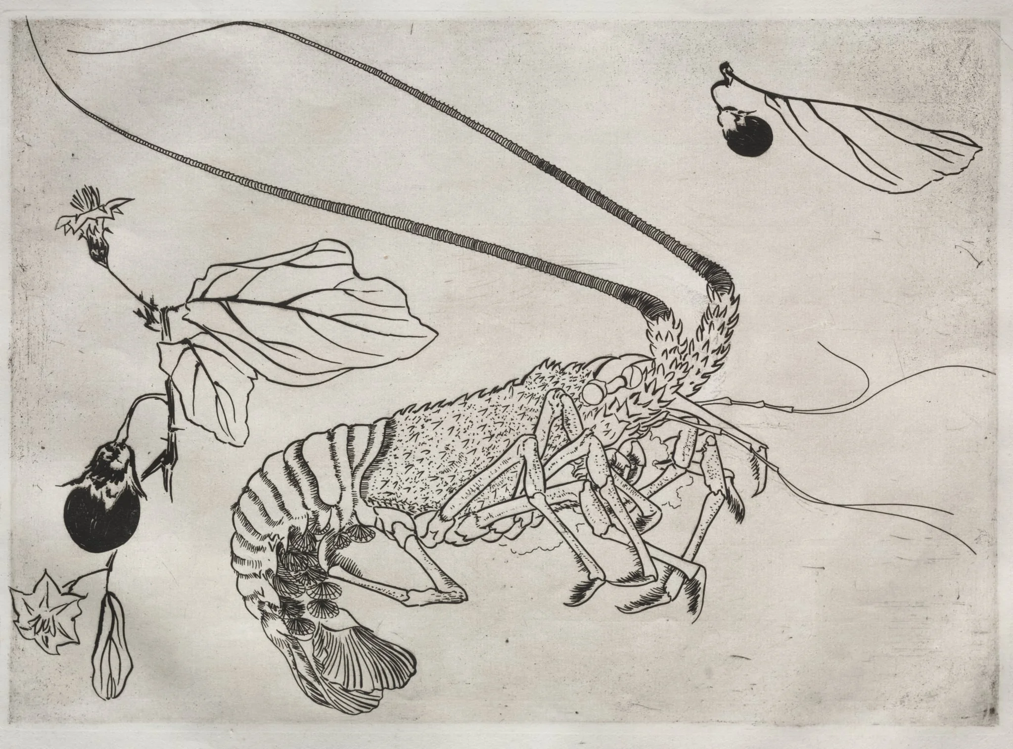 Dinner Service (Rousseau service): Large lobster with raised antenna (no. 21), detail