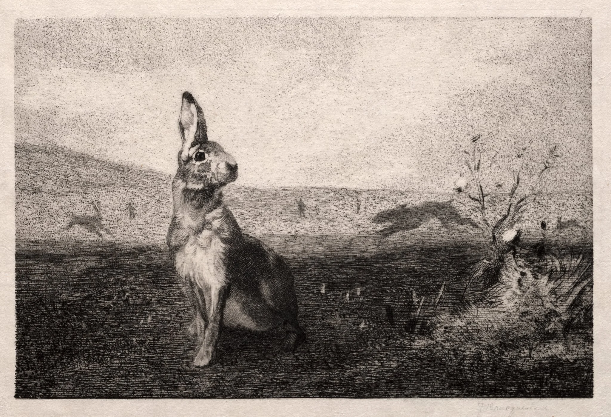 The Hare (after A. de Balleroy), detail
