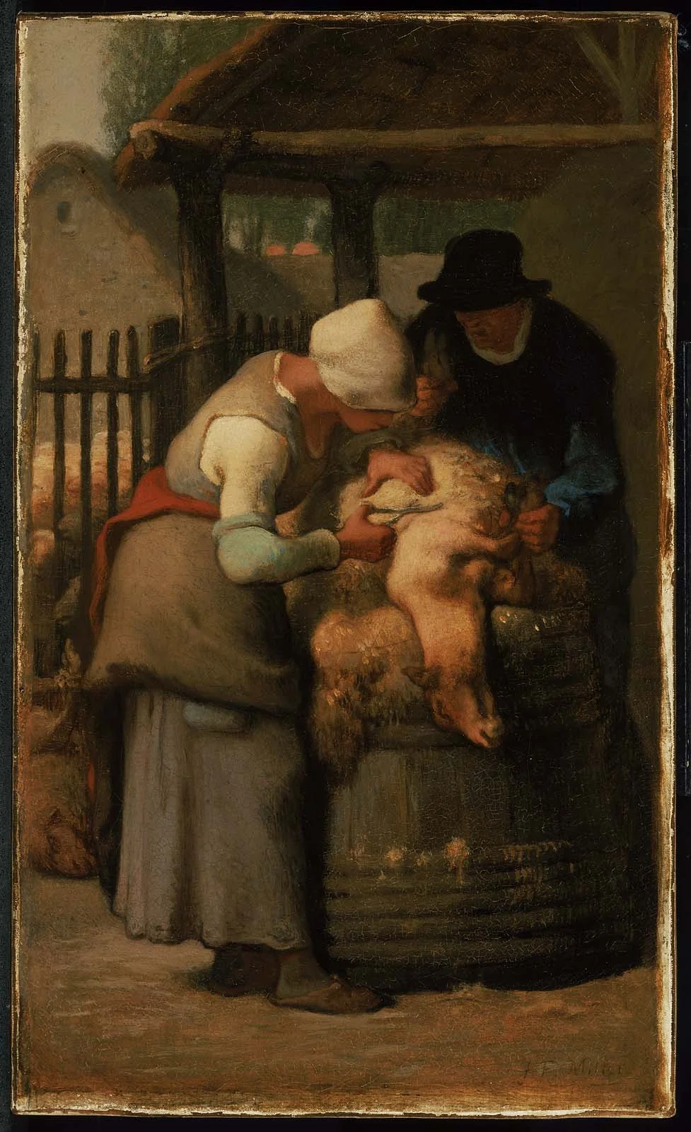 Shearing Sheep, detail