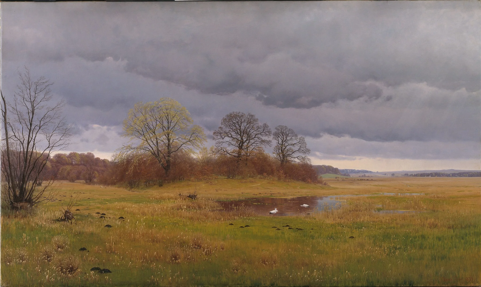Forårslandskab med regnbyger. Sydsjælland, detail