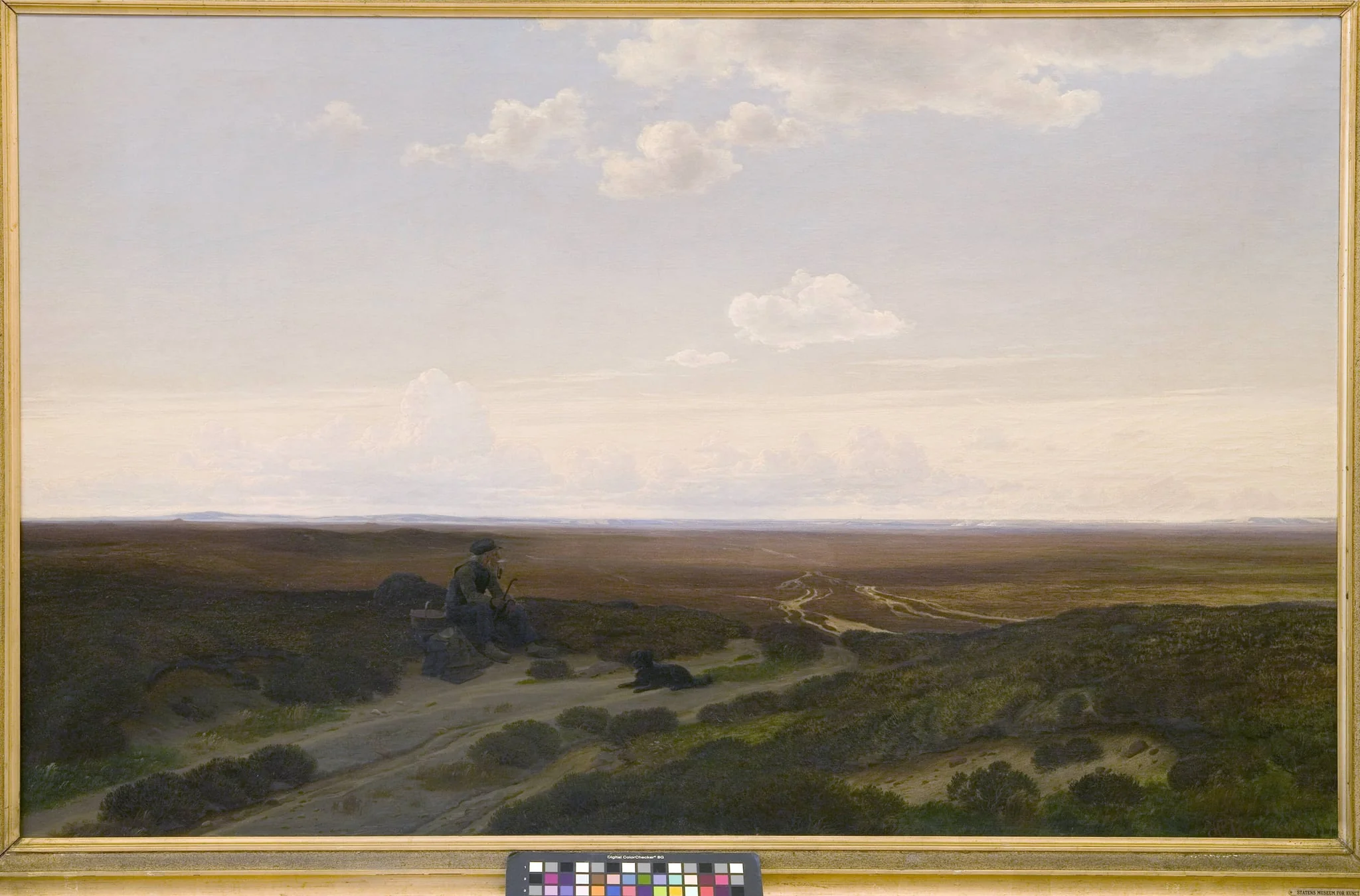 View of Pårup Moors near Silkeborg, Jutland, detail
