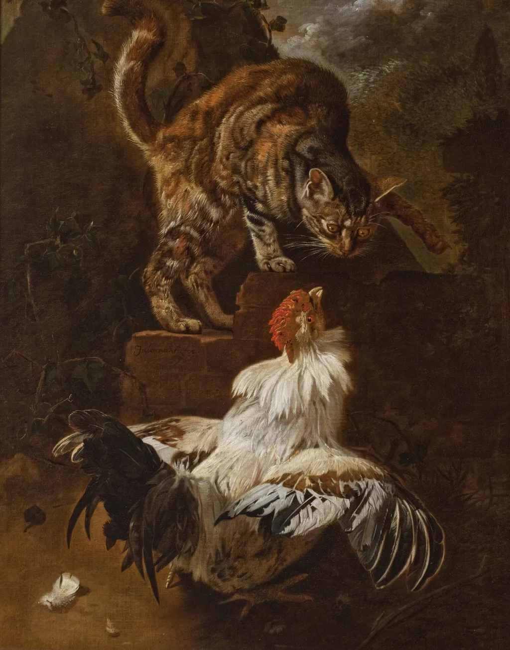 Fight of a Cock and a Cat, by Jacomo Victors, oil, 1674