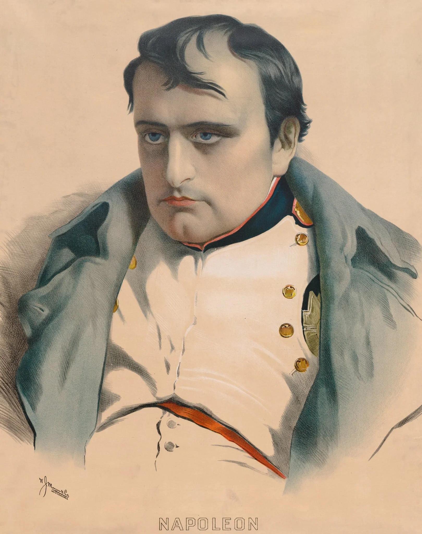 Bust Portrait of Napoleon, detail
