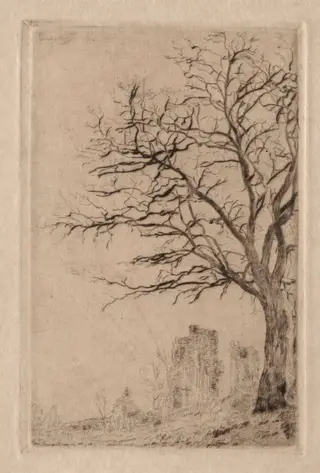 Acacia, by James Ensor, 1888