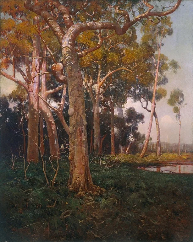 The golden splendour of the bush, detail