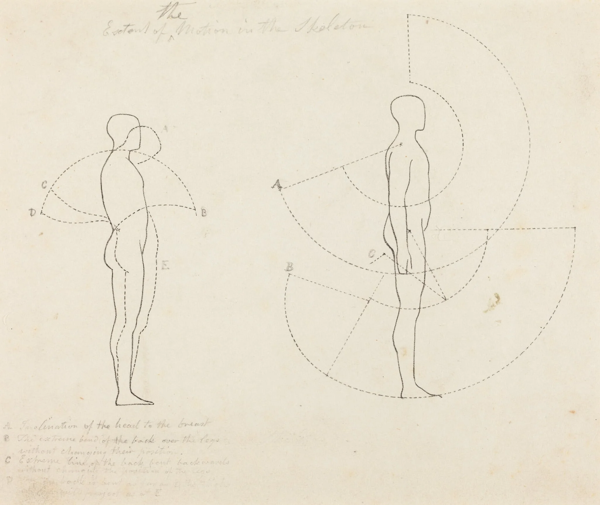 Extent of Motion Shown in Two Figures, detail