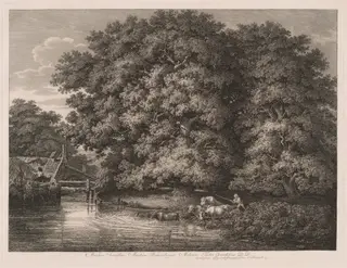 The Mill at the Great Oaks, by Johann Christian Reinhart, ink, 1788