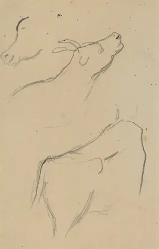 Studies of a Cow [verso], by Paul Gauguin, graphite, 1886