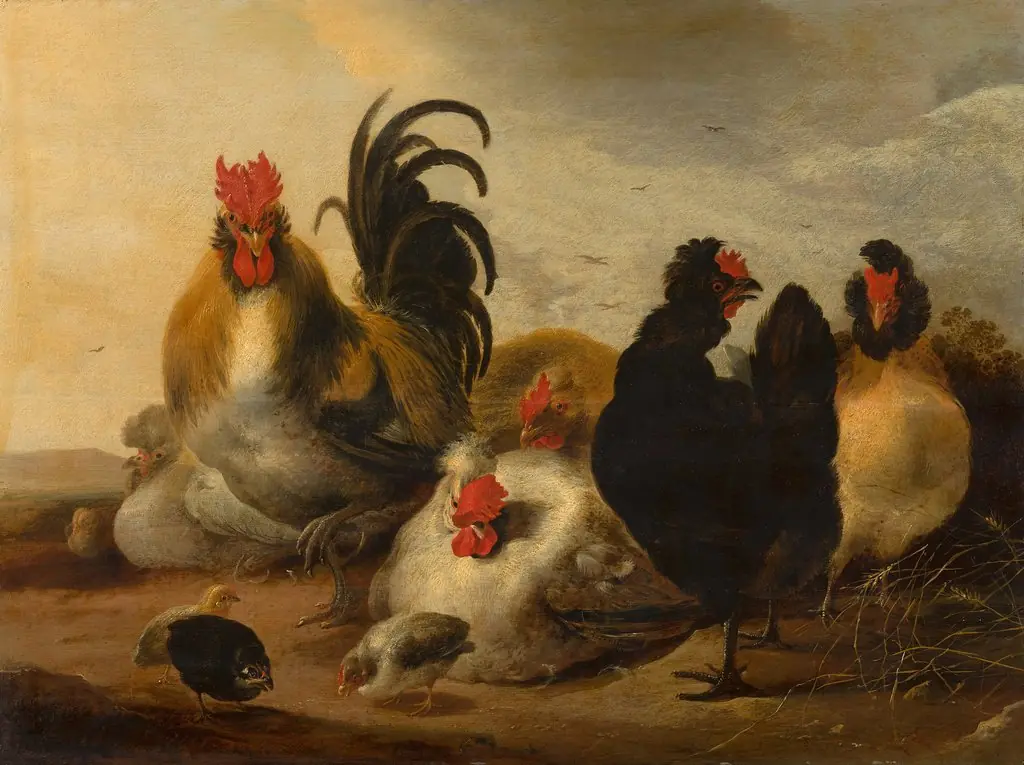 Cock and Hens in a Landscape, by Aelbert Cuyp, oil, 1651