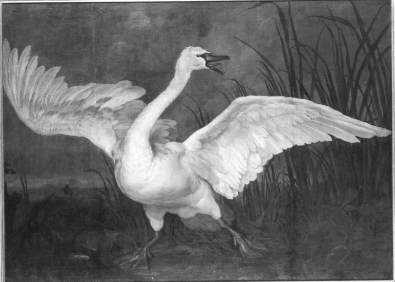 Fliehender Schwan, detail